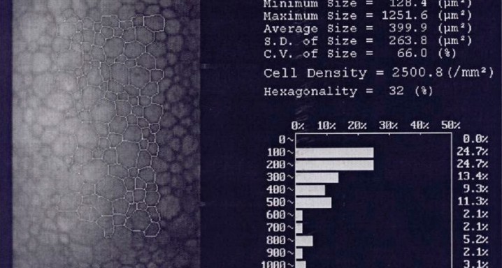 Microscopia-Especular