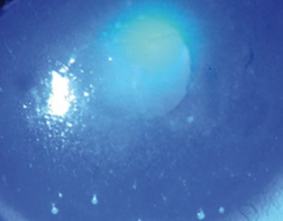 lfkjalsdkfjal lasjdfl askjdflaskjflaskjdflaskfjlaskjdflaskjf lksjf